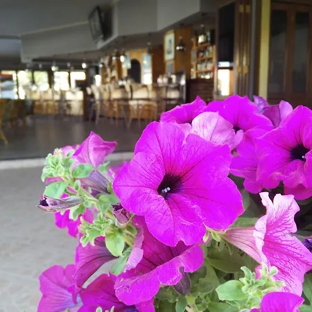 Tondoris Hotel de apartamente Sidárion
